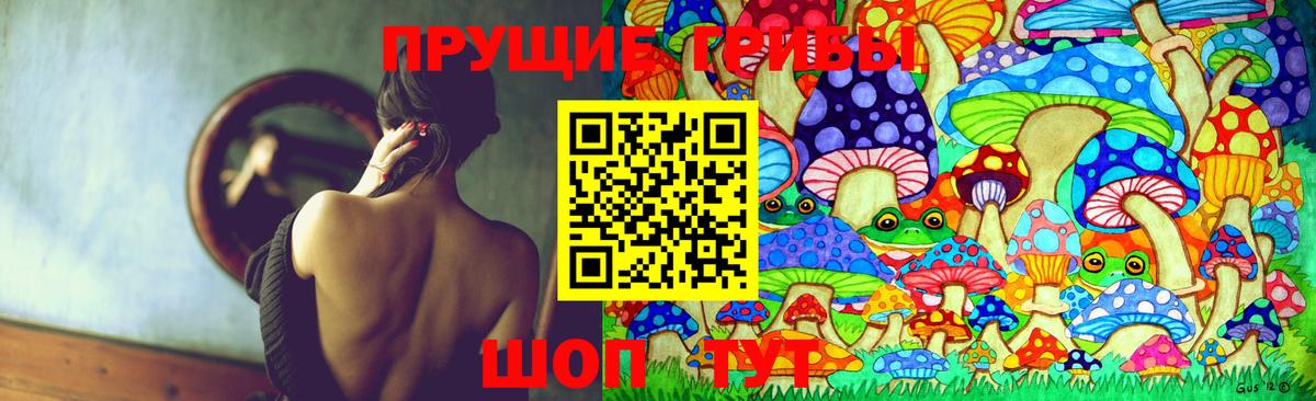 Псилоцибиновые грибы Psilocybine cubensis Рубцовск