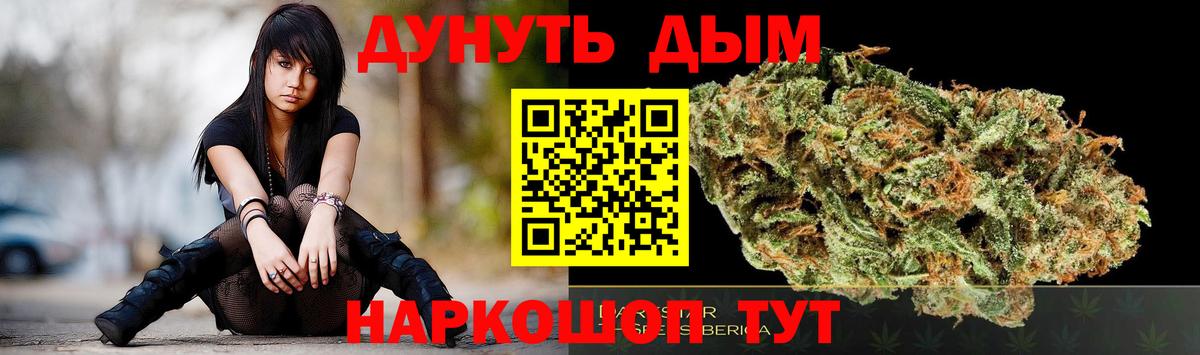 Канабис сатива Рубцовск